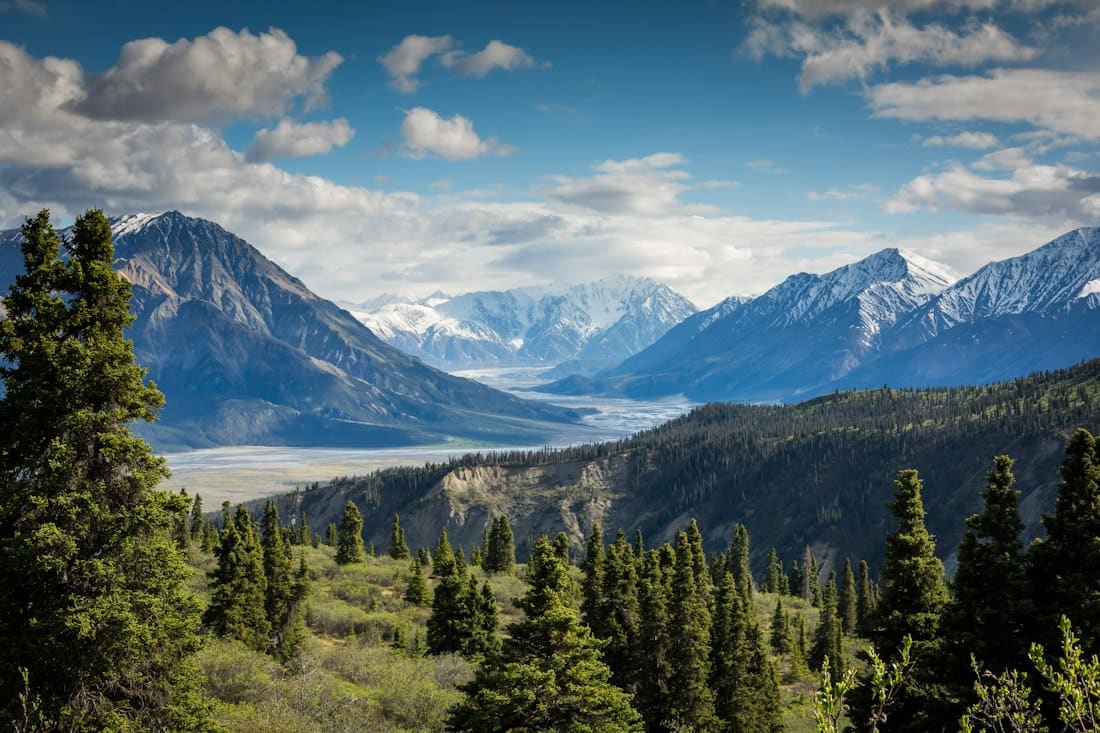 Forested valley beneath snowy mountains